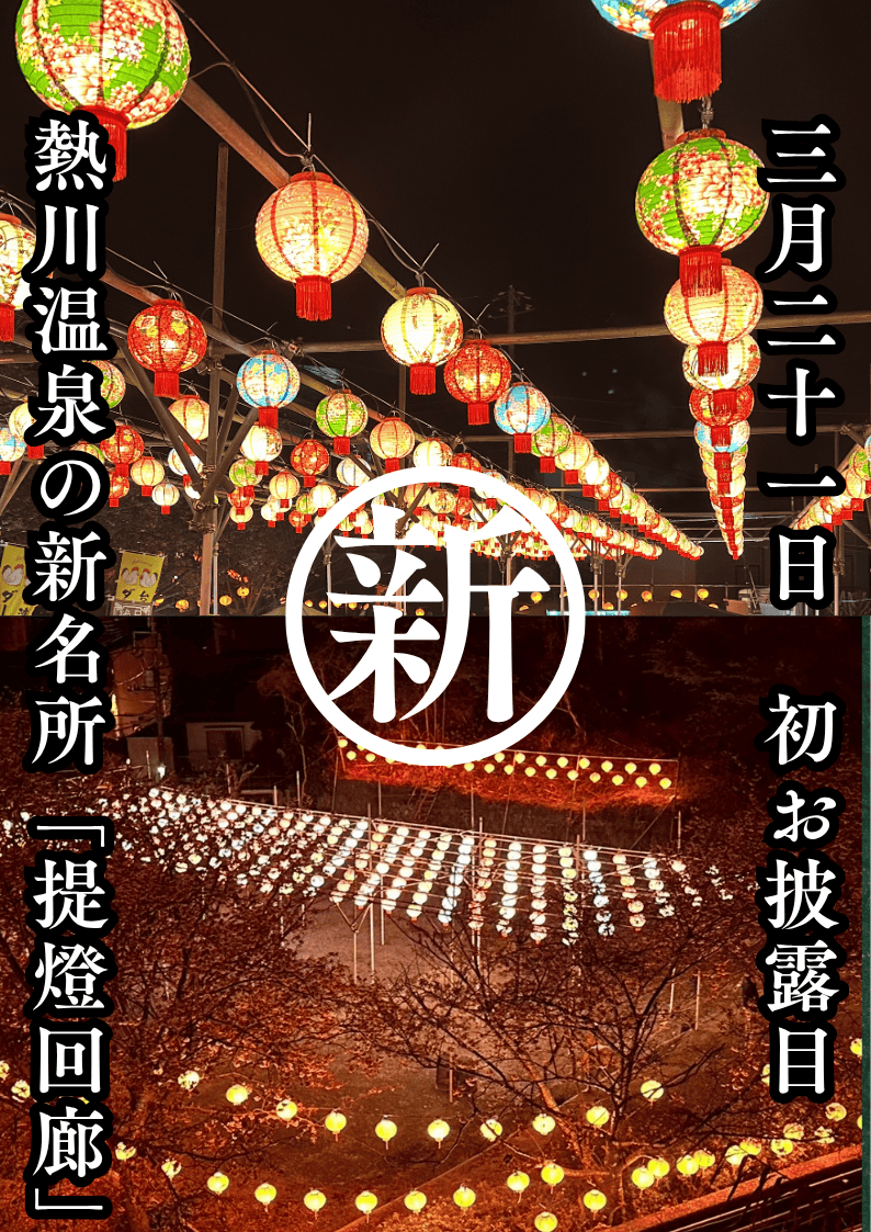 【提灯回廊　初お披露目】熱川温泉の新名所「提灯回廊」毎日点灯中！（花柄提燈は期間限定）
