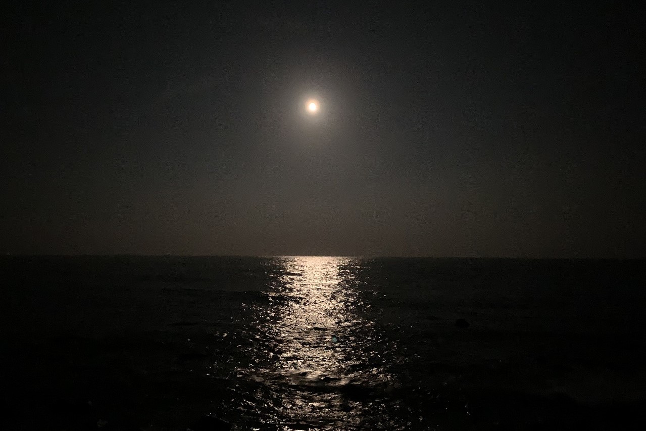 熱川YOU湯ビーチ メイン写真