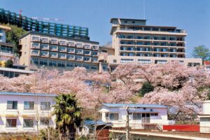 伊東園ホテル 熱川