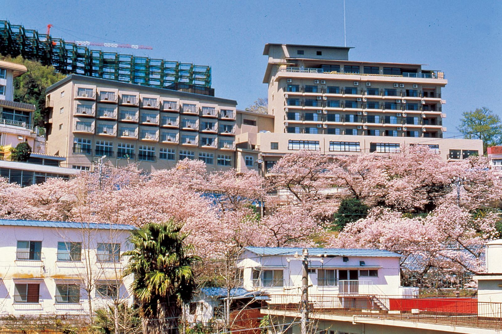 伊東園ホテル 熱川 メイン写真