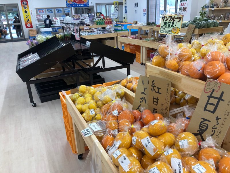 稲取漁港直売所 こらっしぇの柑橘の売り場