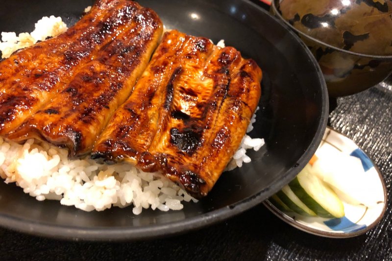 うな瀬のうな丼