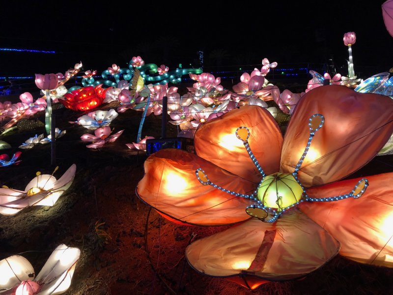 伊豆ぐらんぱる公園の花のイルミネーション