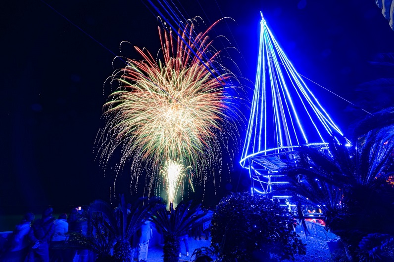 熱川温泉クリスマス花火大会の花火とライトアップされた源泉櫓
