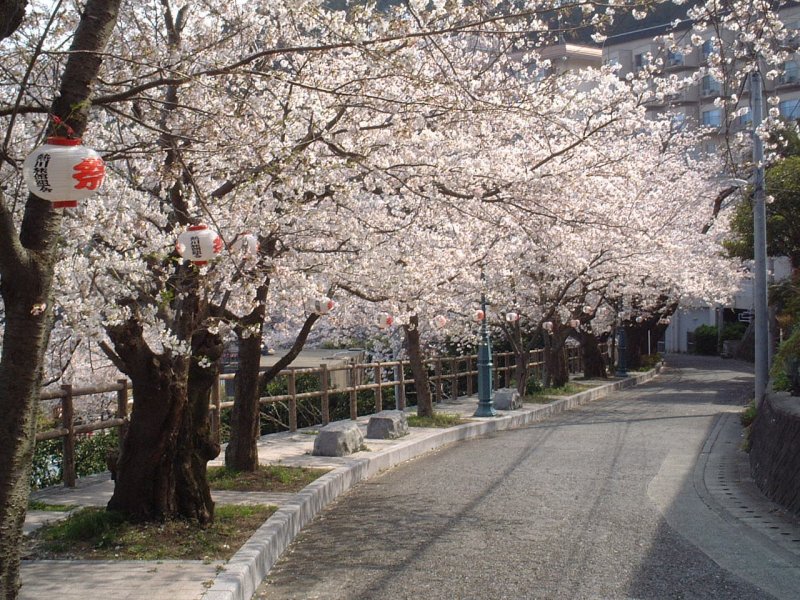 坂の温泉街。熱川温泉。