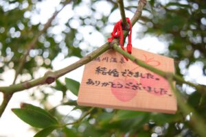 女子旅・カップル向けコース